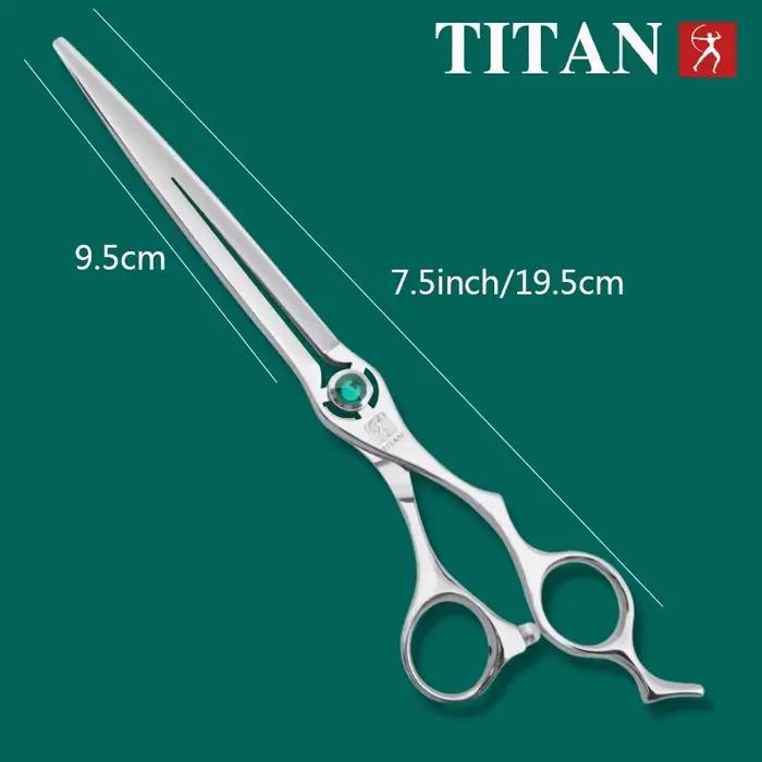 Titan-Ciseaux incurvés en acier inoxydable, Ciseaux de coiffeur professionnels, Ciseaux de cheveux a