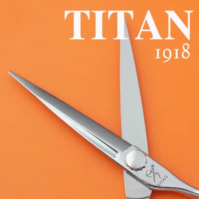 Titan barbier cheveux ATS314 japon acier professionnel tondeuses à cheveux ciseaux pour stylistes et