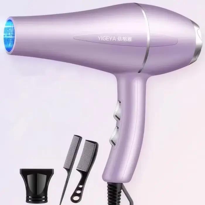 Sèche-cheveux professionnel pour salon de coiffure, puissance 220 W, 1200 V