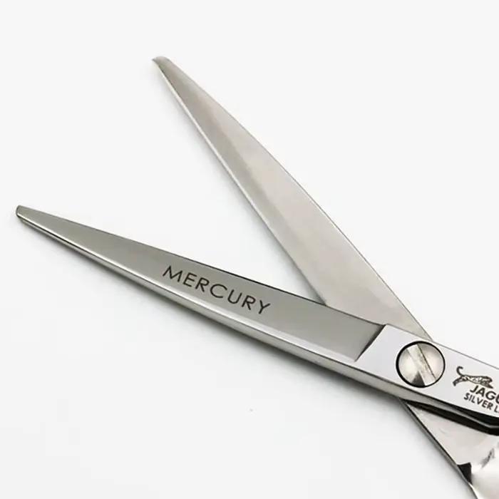 Ciseaux à cheveux professionnels 5/5,5/6/6,5 pouces – Kit de coiffure de haute qualité (ciseaux de c