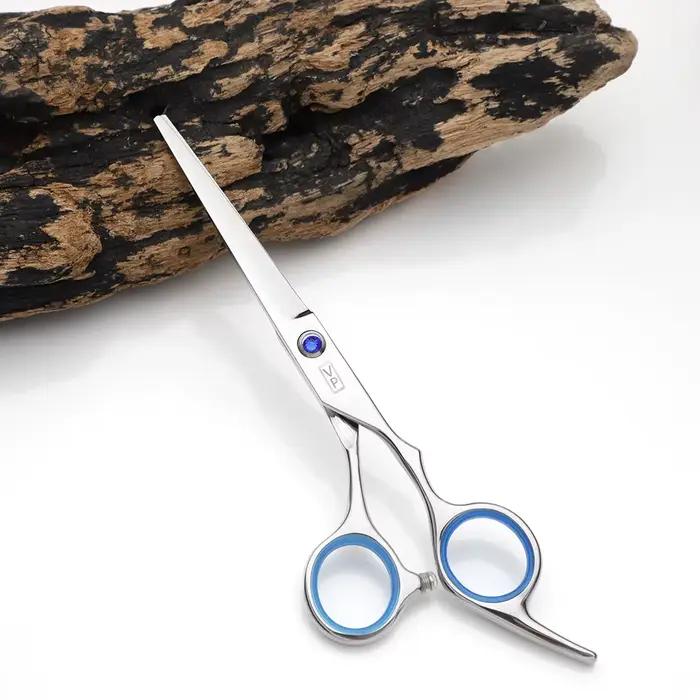 Ciseaux de coiffure professionnels pour coupe de cheveux
