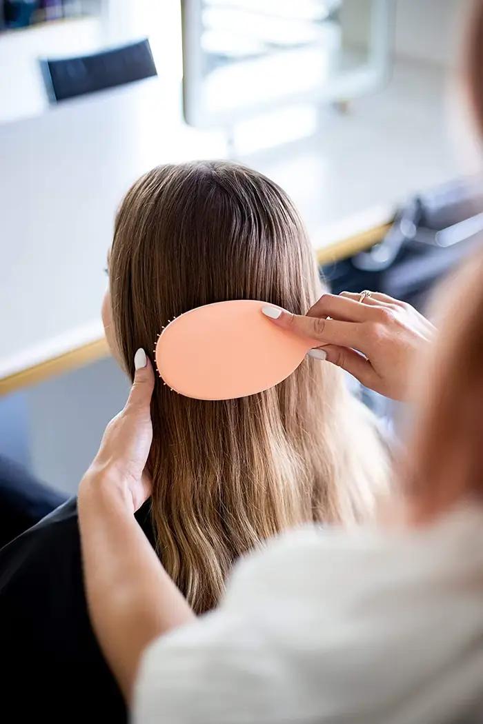 Brosse à cheveux de beauté