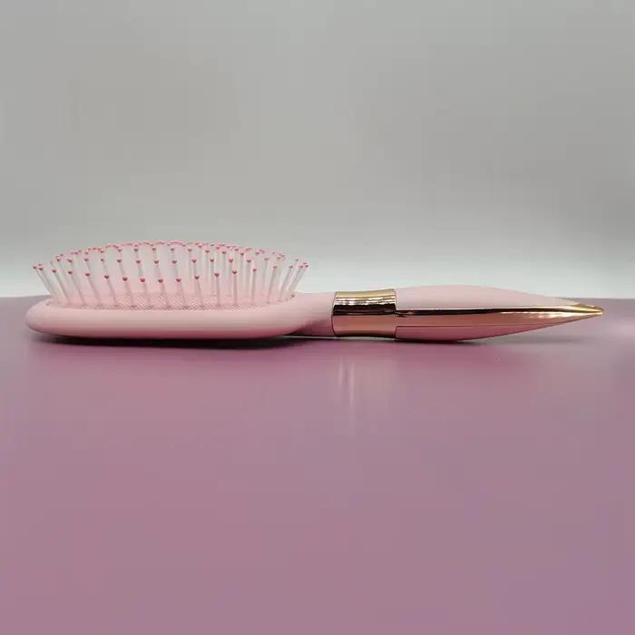 Brosse à cheveux de beauté