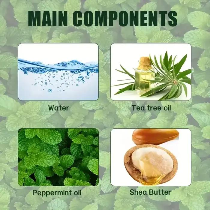 Shampoing à la menthe à l'arbre à thé