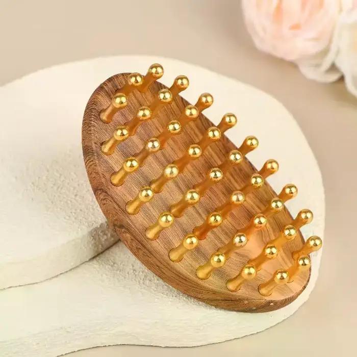 Brosse méridienne en laiton massif à 39 dents