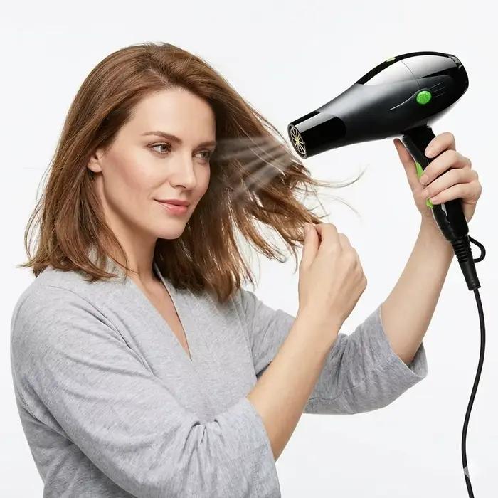 Sèche-cheveux professionnel 220V pour salon