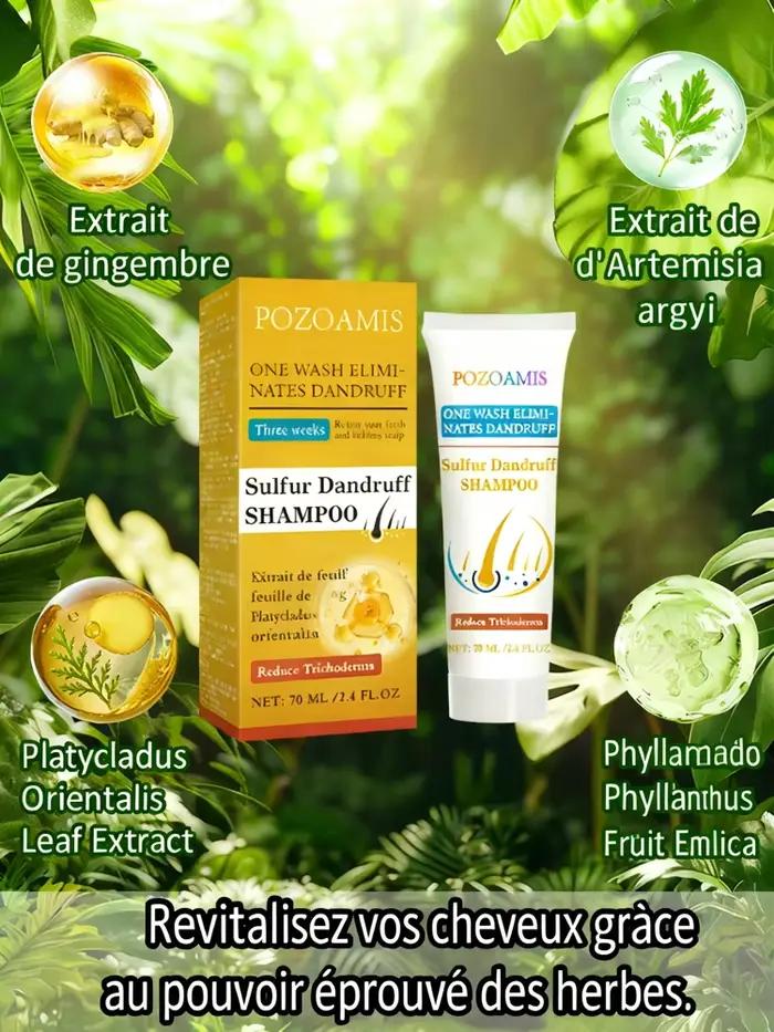 Shampoo antipelliculaire au soufre pour tous types de cheveux