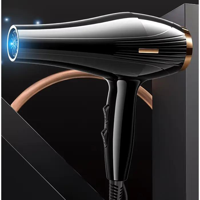 Sèche-cheveux professionnel 220V 2200W