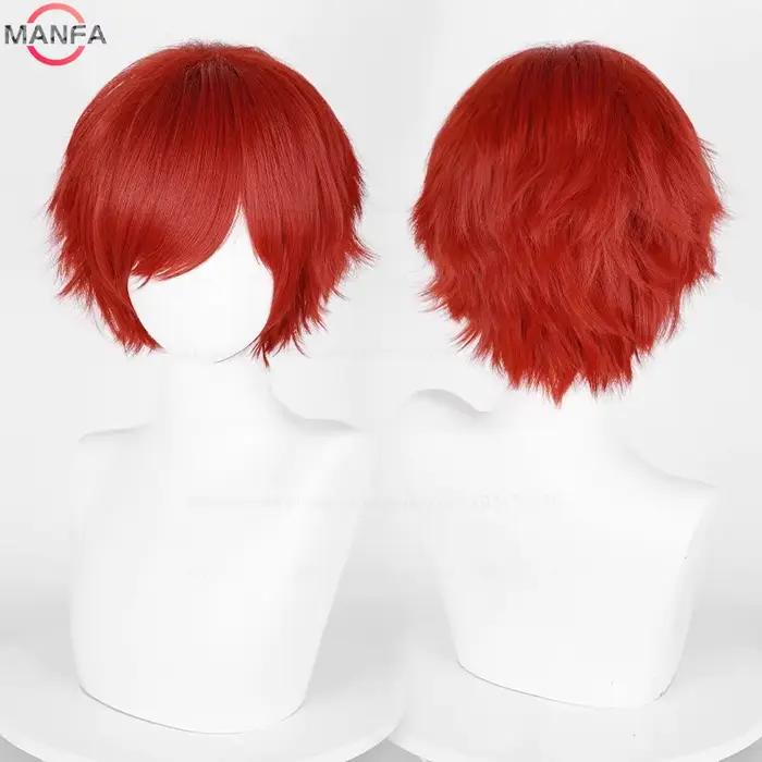 Perruque de Cosplay synthétique courte et lisse de 30cm, cheveux synthétiques résistants à la chaleu