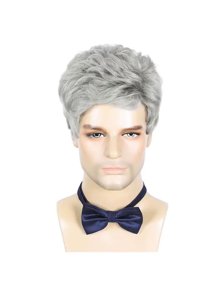 Perruques synthétiques courtes gris argenté pour hommes, perruque naturelle résistante à la chaleur
