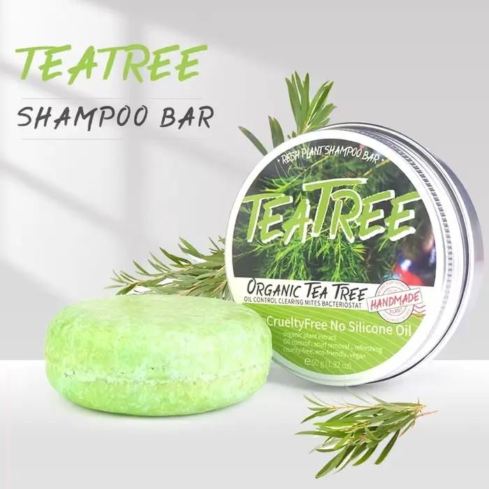 Le shampooing végétal à l'huile essentielle d'arbre à thé est rafraîchissant, contrôlant l'huile, ré