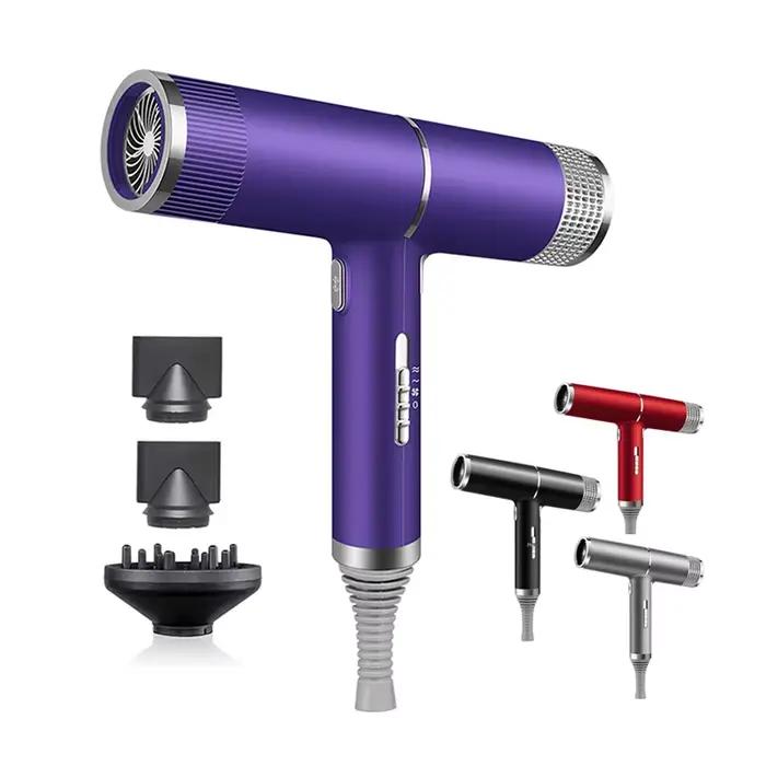 Sèche-cheveux ionique professionnel