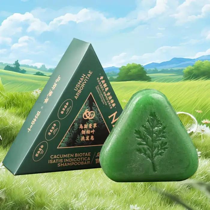 Savon Shampooing Solide aux Feuilles d'Arborevitaux : Combat Fortement les Pellicules