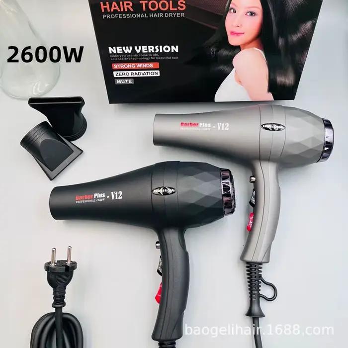 Sèche-cheveux à séchage rapide 220V
